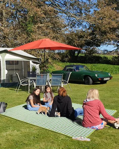 Miniatura 9 de Manta de pícnic, alfombra plegable impermeable de arena, 60 x 80 pulgadas, manta de picnic extra grande para playa, camping, senderismo, viajes, al
