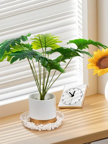 Miniatura 2 de GROWNEER 15 paquetes de platillos transparentes de 6 pulgadas para plantas, bandejas para macetas, con 15 etiquetas para plantas, platillos