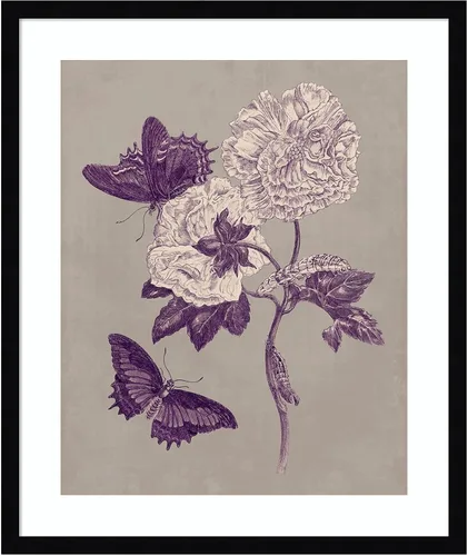 Miniatura 18 de Amanti Art Lienzo decorativo para pared, 24 x 20 pulgadas, estudio de la naturaleza en ciruela y gris pardo IV por Maria Merian, arte de pared