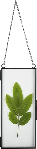 NCYP Marco flotante de vidrio pequeño para flores secas prensadas, 4.1 x 9 pulgadas, clip para colgar en la pared, marco de fotos de doble vidrio