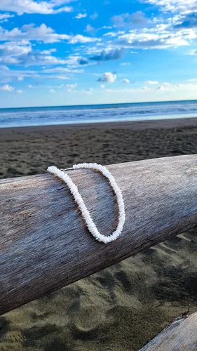 Miniatura 6 de BlueRica - Collar de trocitos de conchas de puka