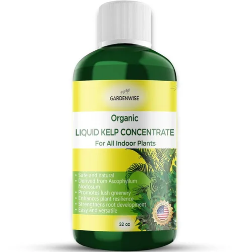 Miniatura 100 de GARDENWISE Fertilizante orgánico prémium de anturio de algas marinas – Alimento líquido para plantas de algas marinas – Potenciador de suelo rico