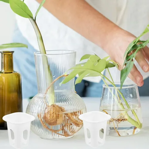 Miniatura 8 de Cabilock 50 macetas de orquídeas con agujeros, 50 cestas de cultivo hidropónicas, plantas para interiores y exteriores, para suministros de jardín