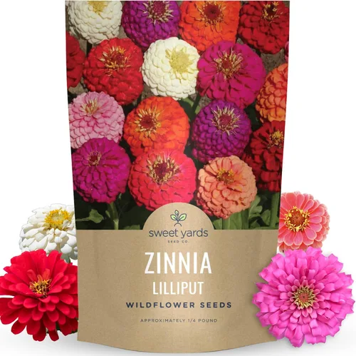 Miniatura 8 de Zinnia Lilliput Mix - Paquete grande de 1 onza - 4,000 semillas de flores para plantar - Zinnia elegans