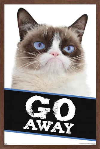 Miniatura 9 de Trends International Grumpy Cat - Póster de pared con texto en inglés «Go Away», 14.725 x 22.375 pulgadas, versión enmarcada de madera de granero