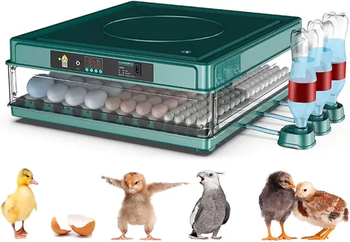 Incubadora de huevos, 120/128 huevos de gallina automática con girador automático de huevos, pantalla digital LED, incubadora de control de humedad