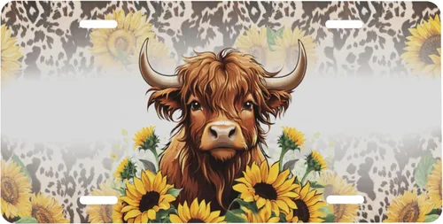 Miniatura 16 de Placa de matrícula frontal Be The Sunshine, placa decorativa de metal de aluminio para automóvil When You Can't Find The Sunshine, cubierta de Sé