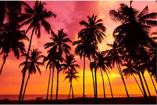 Miniatura 3 de Fondo de fotos de verano de 7 x 5 pies, diseño de palmeras junto al mar, atardecer, fantasía, crepúsculo, playa tropical, océano, para baby shower