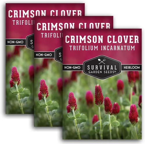 Miniatura 11 de Semillas de trébol carmesí para plantar – Variedad de reliquia sin OMG – Cubierta de fijación de nitrógeno, flores de cultivo para jardines