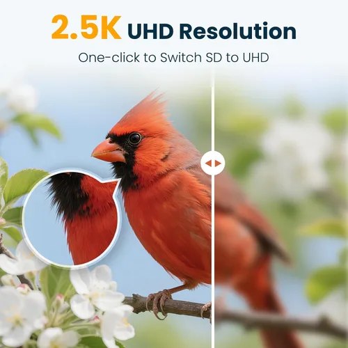 Miniatura 7 de Comedero inteligente para pájaros con cámara, cámara de observación de aves WiFi con energía solar de 2.5 K, identificación de especies de aves AI