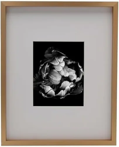 Miniatura 22 de Mikasa Wood Gallery - Marco de pared de 15 x 15 pulgadas, mate a 5 x 7, 16 x 1.57 x 16 pulgadas, nogal