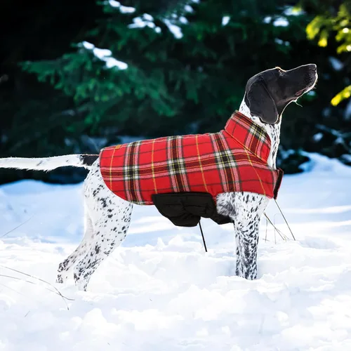 Miniatura 6 de Kuoser - Abrigo impermeable de invierno para perro, chaqueta reversible estilo británico, ropa para perro a cuadros, abrigo acogedor para perros