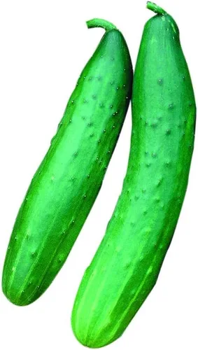 Miniatura 5 de Park Seed Variedad de semillas de pepino, plantación de pepinos, semillas de verduras, fáciles de cultivar, sin OMG, perfectas para cosechar, ocho