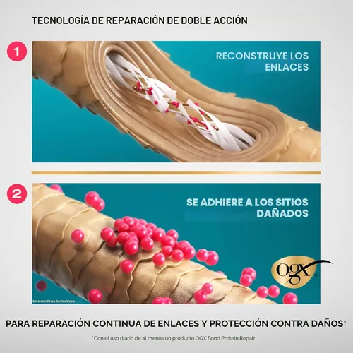 Miniatura 5 de OGX Repair & Protect Bond - Champú reparador de proteínas, lavado ligero para el cabello que limpia y dirige el cabello dañado para una reparación