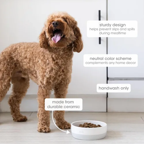 Miniatura 2 de Pearhead Ceramic Bone Appétit - Cuenco para perros, capacidad para 2 tazas, plato de gres para alimentos y agua, comedero para mascotas gris y Tazón