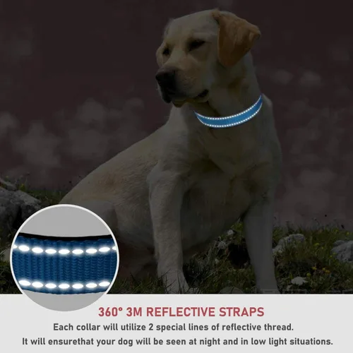 Miniatura 4 de Collar reflectante para perros con hebilla ajustable de nailon de seguridad para perros pequeños, medianos y grandes, azul M Azul-cielo