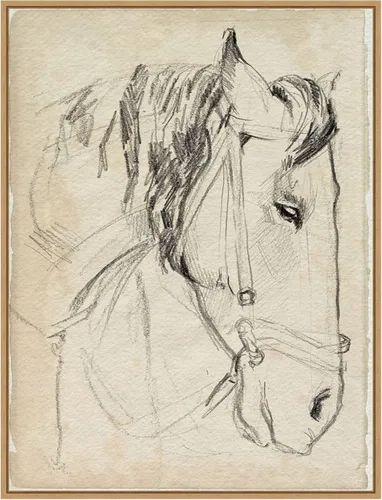 Miniatura 14 de Amanti Art Lienzo enmarcado para pared, diseño de caballo en brida, 24 x 18 pulgadas, boceto I de Jennifer Paxton Parker, lienzo enmarcado