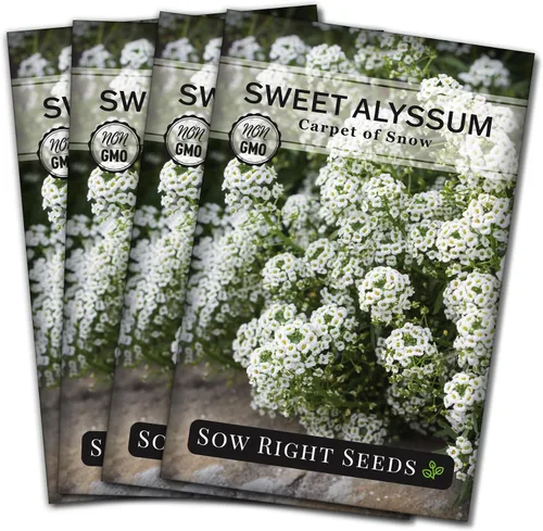 Miniatura 9 de Sow Right Seeds - Alfombra blanca de semillas de flores de nieve Sweet Alyssum para plantar - Paquete de reliquia sin OMG con instrucciones