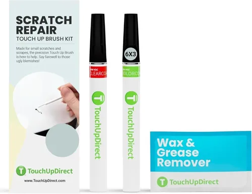 TouchUpDirect - Kit de pinceles para retoque y reparación de arañazos de pintura de automóvil, conciencia exacta con la pintura color gris 6X3 Lunar