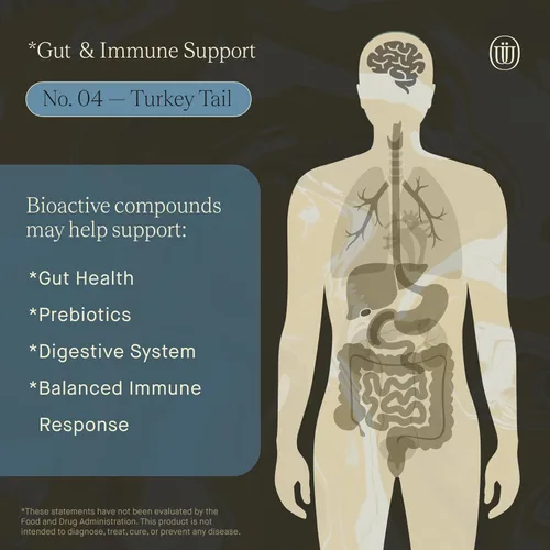 Miniatura 6 de Extracto de hongo de cola de pavo - Tintura de hongo de cuerpo frutal de doble extracción Refuerzo de inmunidad, gestiona la inflamación, alivia