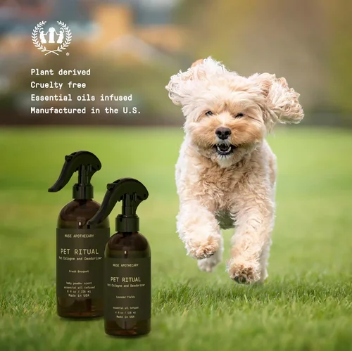 Miniatura 6 de Muse Apothecary Pet Ritual - Spray de colonia para perros – Perfume para perros de larga duración después del baño – Perfume para mascotas