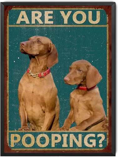 Miniatura 8 de LIUAXICIA Letreros divertidos de hojalata con texto en inglés "Dog are You Pooping", decoración de pared para baño, baño, decoración para amantes