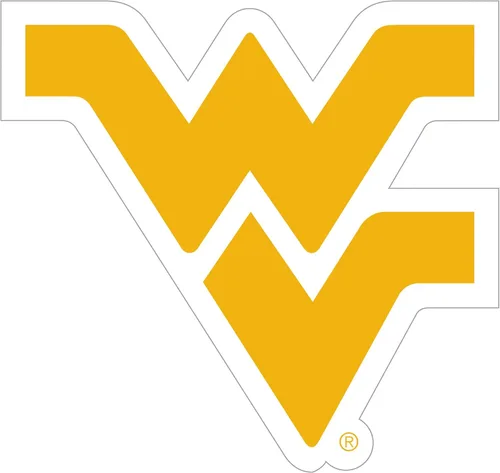 Miniatura 12 de NCAA, imán con logotipo, 8 pulgadas