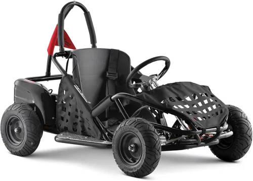 Go Kart eléctrico, auto eléctrico de 48 V, marco tubular de acero, cinturón de seguridad, neumáticos todo terreno de 13 pulgadas, control de Negro