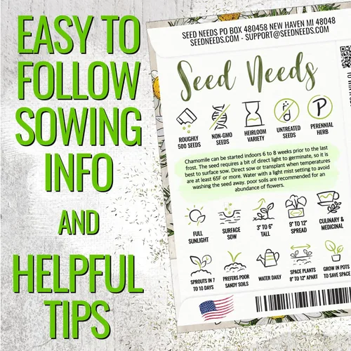 Miniatura 4 de Seed Needs Semillas de manzanilla romana para plantar, sin OMG, reliquia y sin tratar, cultiva un jardín de hierbas medicinales cultivadas en casa