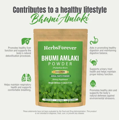 Miniatura 7 de HerbsForever Bhumi Amalaki Powder Phyllanthus Niruri Hierba ayurvédica para el bienestar, desintoxicación y vitalidad Sin OMG, vegano, sin