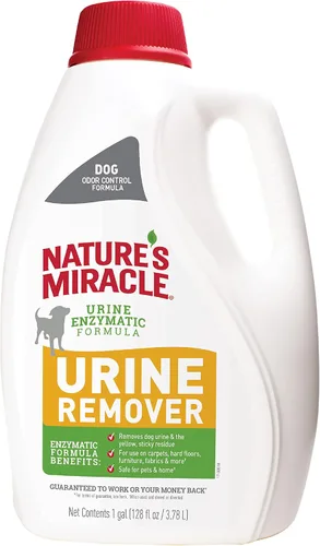 Nature's Miracle Removedor de orina para perros, 128 onzas, fórmula enzimática, multicolor, 128.00 onzas líquidas (paquete de 1)