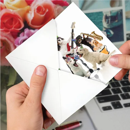Miniatura 6 de NobleWorks - Tarjeta de felicitación de cumpleaños con sobre de 5 x 7 pulgadas (1 tarjeta), divertida celebración de cumpleaños de animales - Bandas