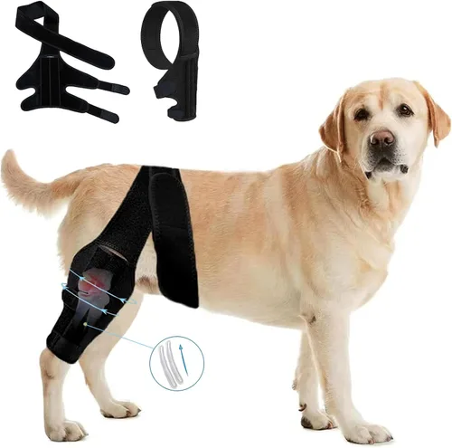 Miniatura 9 de Rodillera para perro para pierna trasera desgarrada del ligamento cruzado anterior, soporte ajustable para la pierna trasera delantera y trasera