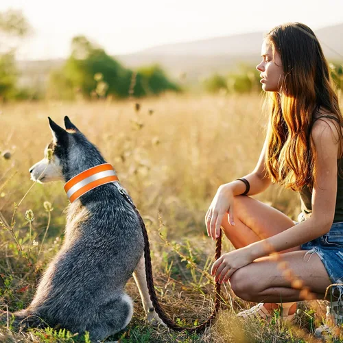 Miniatura 6 de Paterr 2 collares reflectantes para perro, ajustables de alta visibilidad, con cierre de liberación rápida, cómodos accesorios para pasear perros