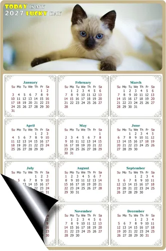 Miniatura 2 de Calendario magnético 2026 – Imanes del calendario – Today is my Lucky Day – Resistente a la decoloración, desgarros y agua – Temático de gato 013