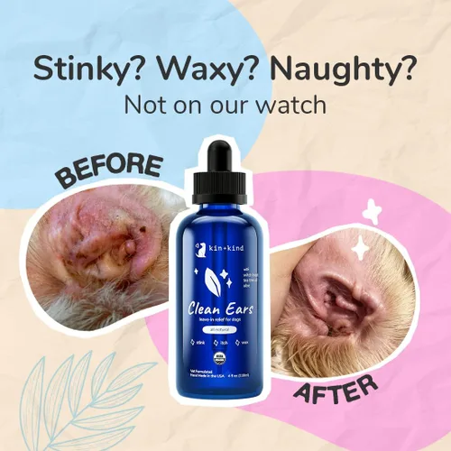 Miniatura 2 de kin+kind Clean Ears - Solución de limpiador de oídos para perros sin enjuague natural, sin enjuague, orgánico USDA, no graso, 4 onzas líquidas