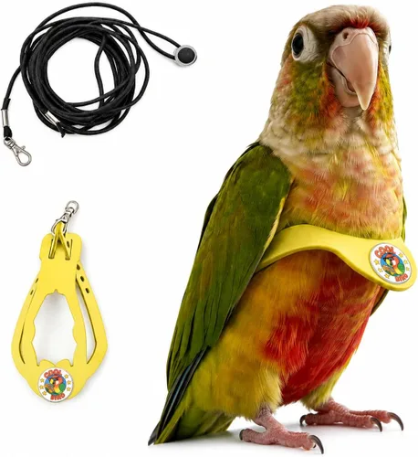Miniatura 34 de Juego de arnés ajustable y correa para pájaros pequeños, apto para periquitos, conures, cacatúas, mejillas verdes, loros cuáqueros (verde, XS) 6350-6