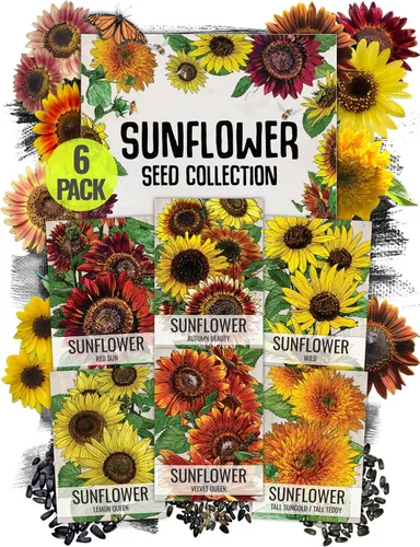 Miniatura 15 de Seed Needs - Semillas de Capuchina para Plantar Flores Comestibles - Juego de Colección de Mezcla Joya y Capuchinas de Doble Brillo para Atraer