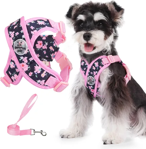 Miniatura 7 de Patas Lague Juego de arnés para perro con correa, ajustable, suave, acolchado, chaleco de entrada para perro, sin estrangulamiento, sin tirones