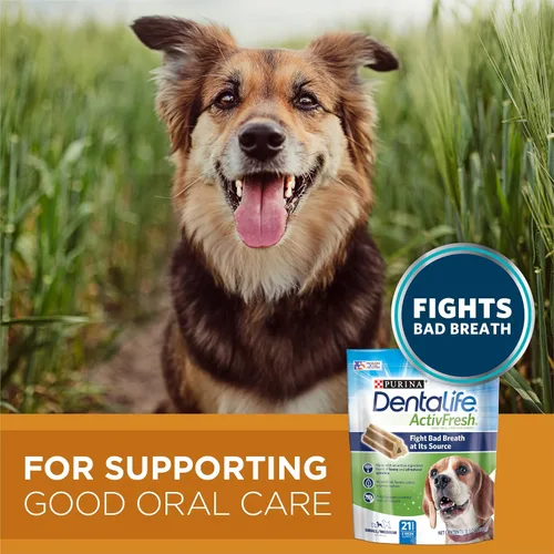 Miniatura 5 de DentaLife Purina Paquete de alimentos secos para perros adultos y golosinas, una fórmula de pollo y arroz ActivFresh