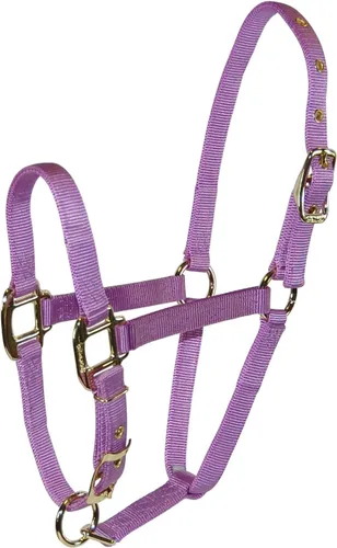 Miniatura 16 de Hamilton Caballo de lujo Halter, nailon de triple capa de 3/4 pulgadas con correa ajustable para la barbilla, potro o mini caballo, 100-200 libras