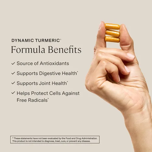 Miniatura 2 de Stonehenge Health Cúrcuma Dinámica con Curcumina y Jengibre - Alta Potencia - 1,650 mg de Cúrcuma con 95% de Curcuminoides y BioPerine, 90 Cápsulas