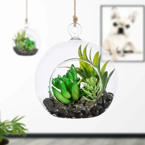 Miniatura 4 de Maceta colgante de vidrio redonda para colgar en terrario, decoraciones para suculentas Tillandsia, portavelas, decoraciones de boda y exhibición