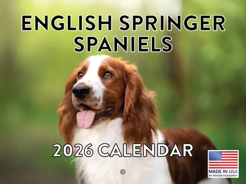 Miniatura 13 de Calendario de pared mensual 2025 Great Dane de 12 meses, fabricado en Estados Unidos