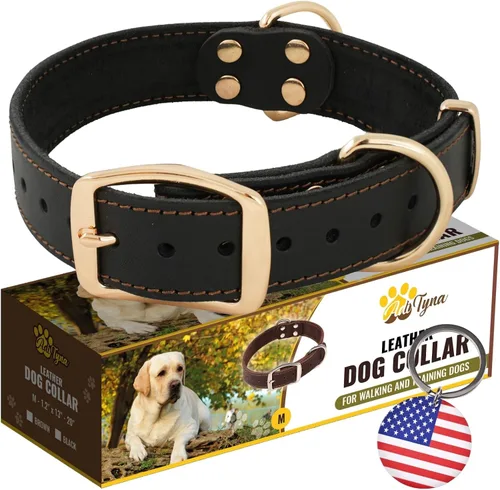 Miniatura 13 de ADITYNA Collar de cuero resistente para perros extra grandes, collar de cuero rojo suave y fuerte para razas XL