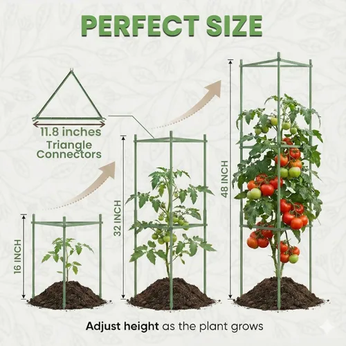 Miniatura 5 de Jaula de tomate – Estacas grandes de enrejado y estructuras de soporte para plantas para verduras y plantas trepadoras – Jaulas altas para tomate