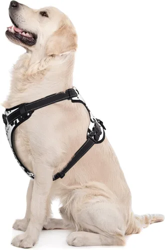 Miniatura 5 de Arnés para perro con estampado de piel dálmata, ajustable, transpirable, con clip para correa sin tirones, arnés para la mayoría de perros pequeños