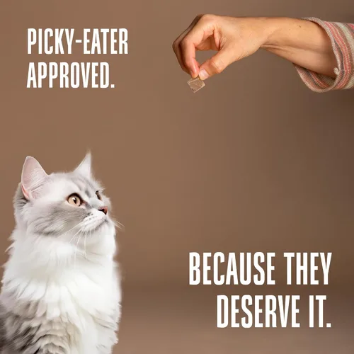 Miniatura 7 de Whole Life Cat Just One Atún - Golosinas liofilizadas para gatos – Alimento rico en proteínas de grado humano, aperitivos de entrenamiento