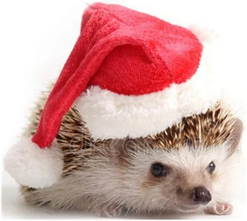 Miniatura 5 de Ropa de erizo, disfraz de Navidad, traje de Papá Noel, ropa de animal pequeño, forro polar hecho a mano, sudadera con capucha de erizo, accesorios