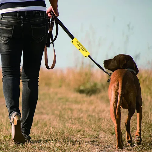Miniatura 5 de Divertida funda para correa para perro, no apta para perros, alerta colgante, parche de identificación, regalo de cumpleaños para mascotas